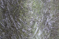 Helland fibreglass roof work